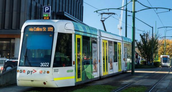 Tram number 109 in Box Hill