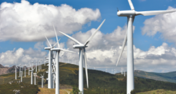 Whitehorse signs onto VECO
