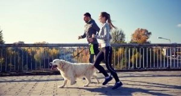 Image - Exercising Your Dog