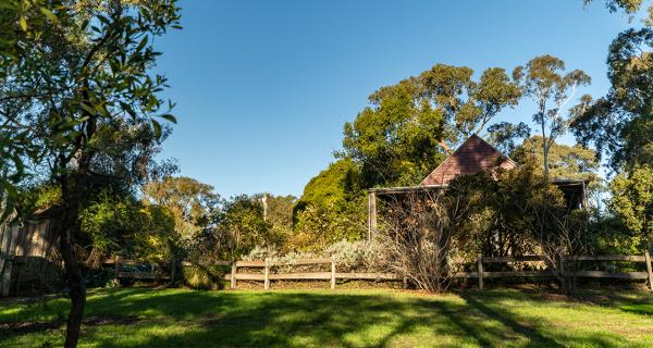 Open space with a fence in the background