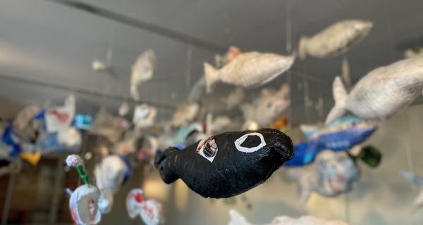 Plastic fish exhibition