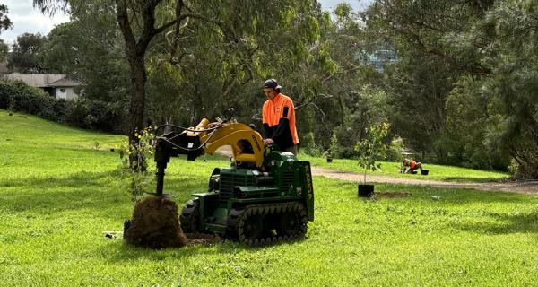 Tree planting at Gardiners Creek Reserve Burwood