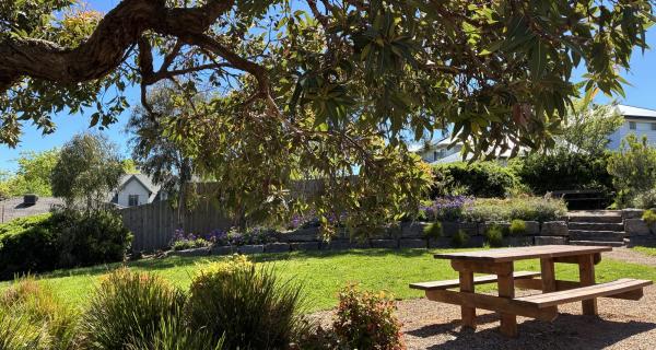 Image of new Mont Albert park