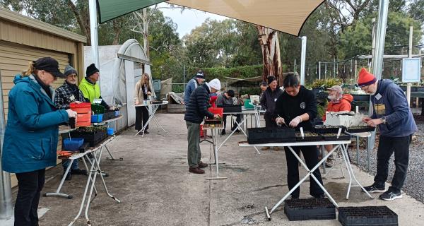 people at garden nursery propagating plants