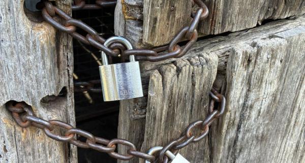 locks cropped