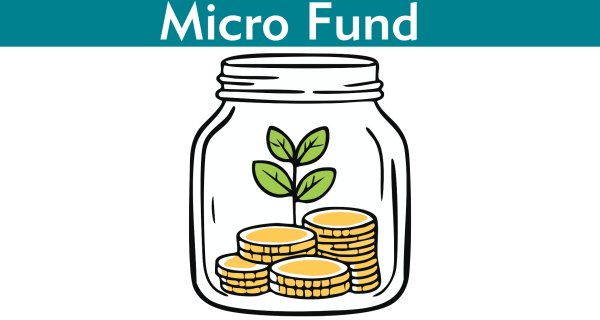 Micro Funds image 
