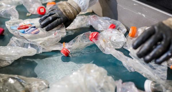 Image of recycling being sorted