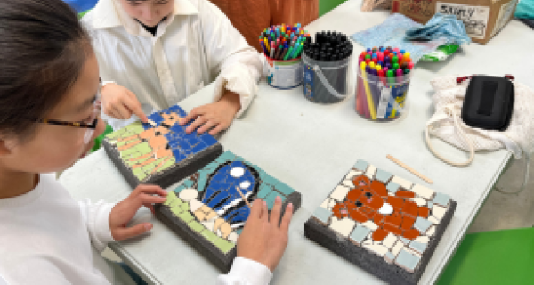 SHOP - Mosaic Pavers