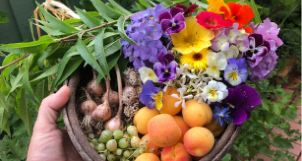Flowers and fruit in basket