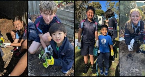 Collection of students with plants and planting