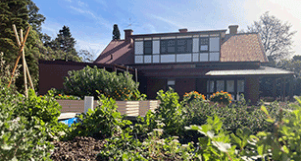 Cottage with garden