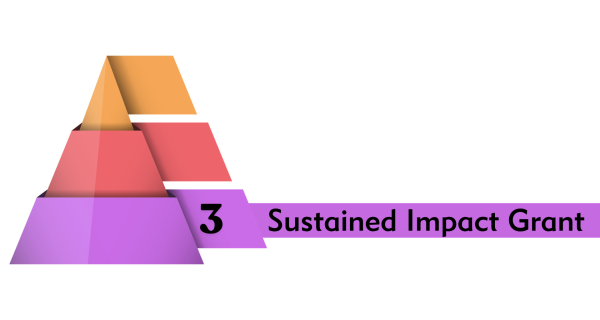 Tier 3 Sustained Impact Grant image 