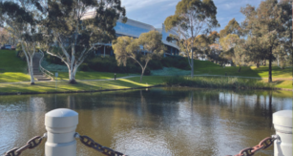 Tally Ho area with lake and trees