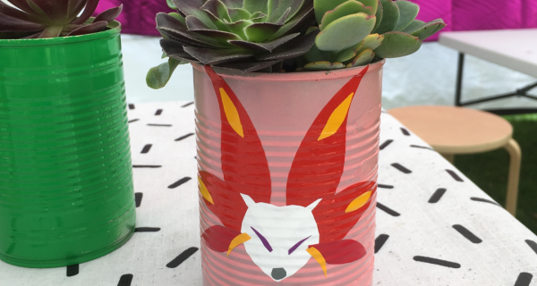 pot plant