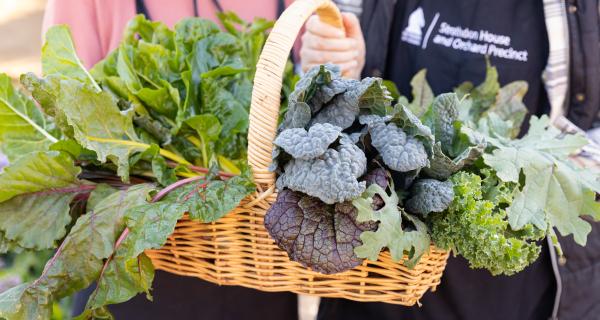 Nutritious and sustainable food