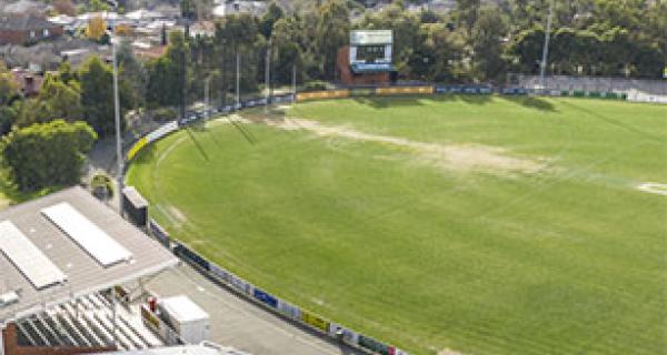 aerial view of Walker Park
