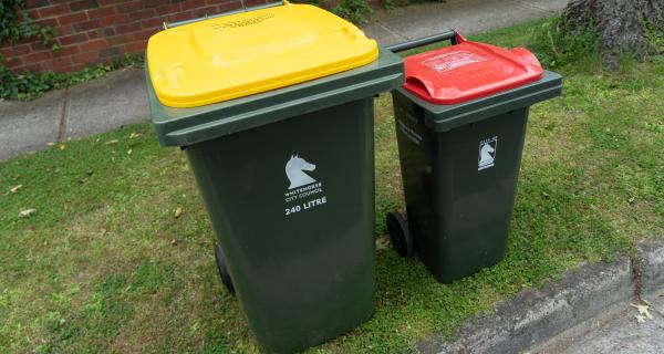Bins - garbage and recycling 