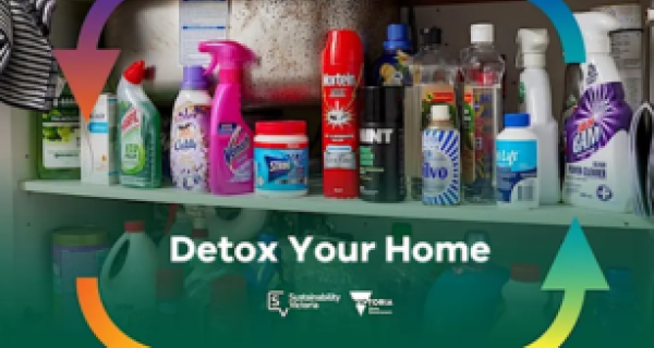 Detox your home