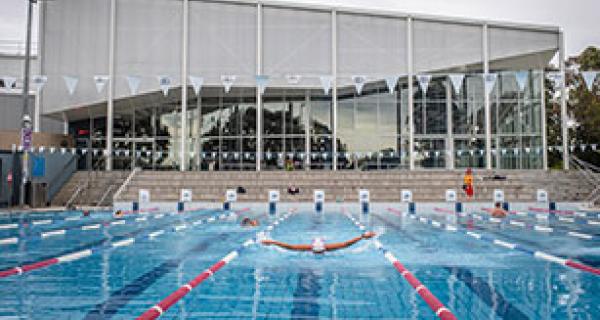 swimmer in pool