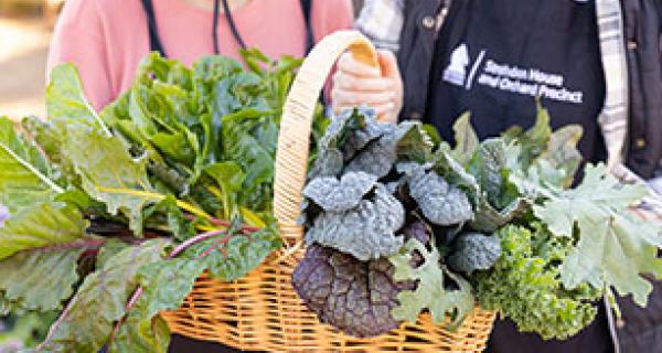 basket of fresh vegetables