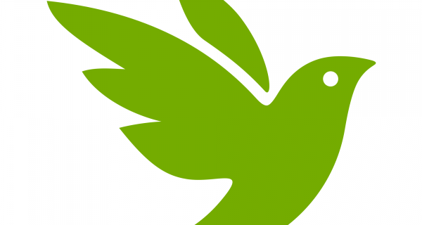 green bird logo