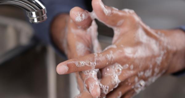 food safety in the home, handwashing