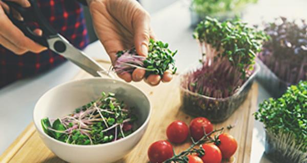 Photo of someone cutting micro herbs