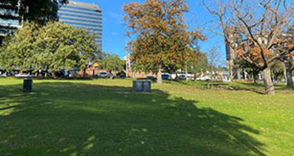 park with open space in Whitehorse