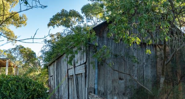 Old wooden shed