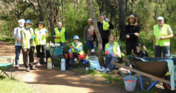 Volunteers