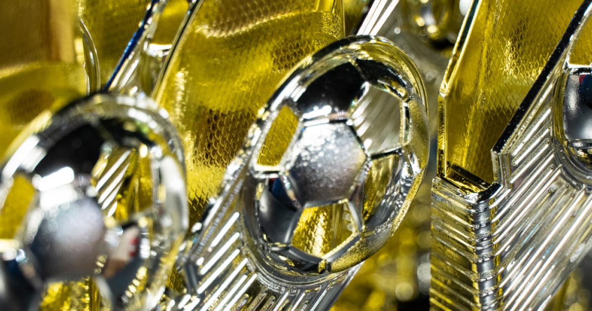 Whitehorse Sport and Recreation 2022 Civic Award Whitehorse City Council