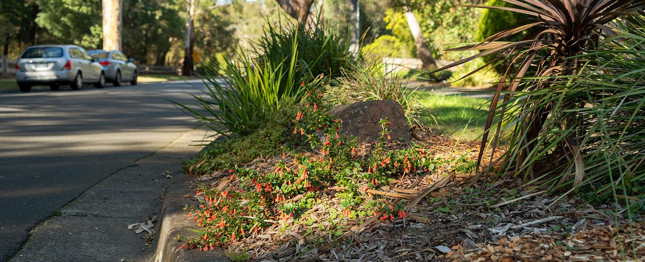 Gutter with naturestrip