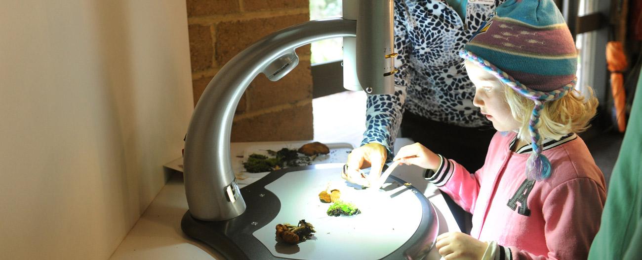 Child looking at items under a microscope