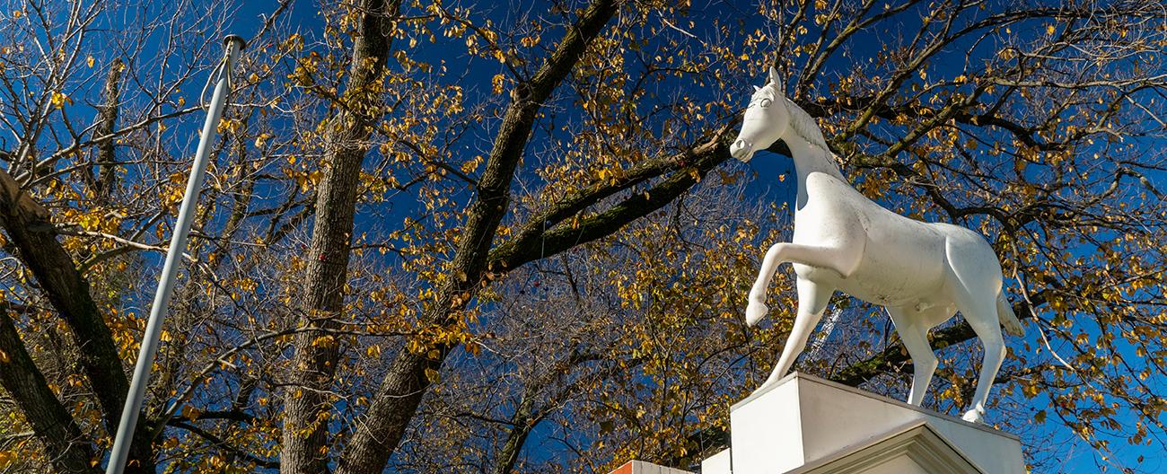 White horse statue