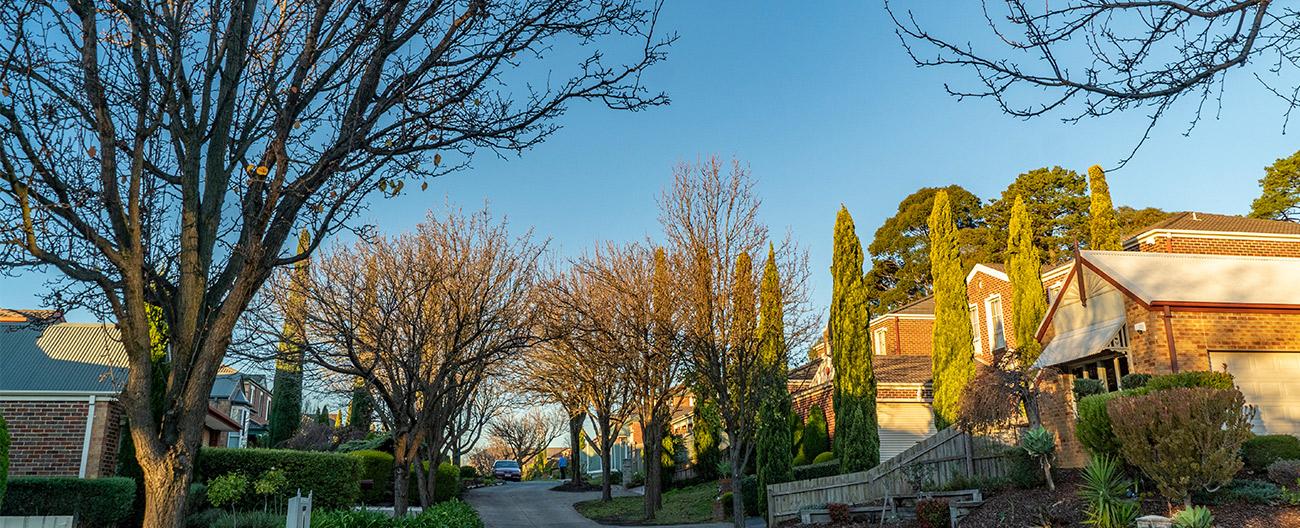 Whitehorse Tree Lined Street