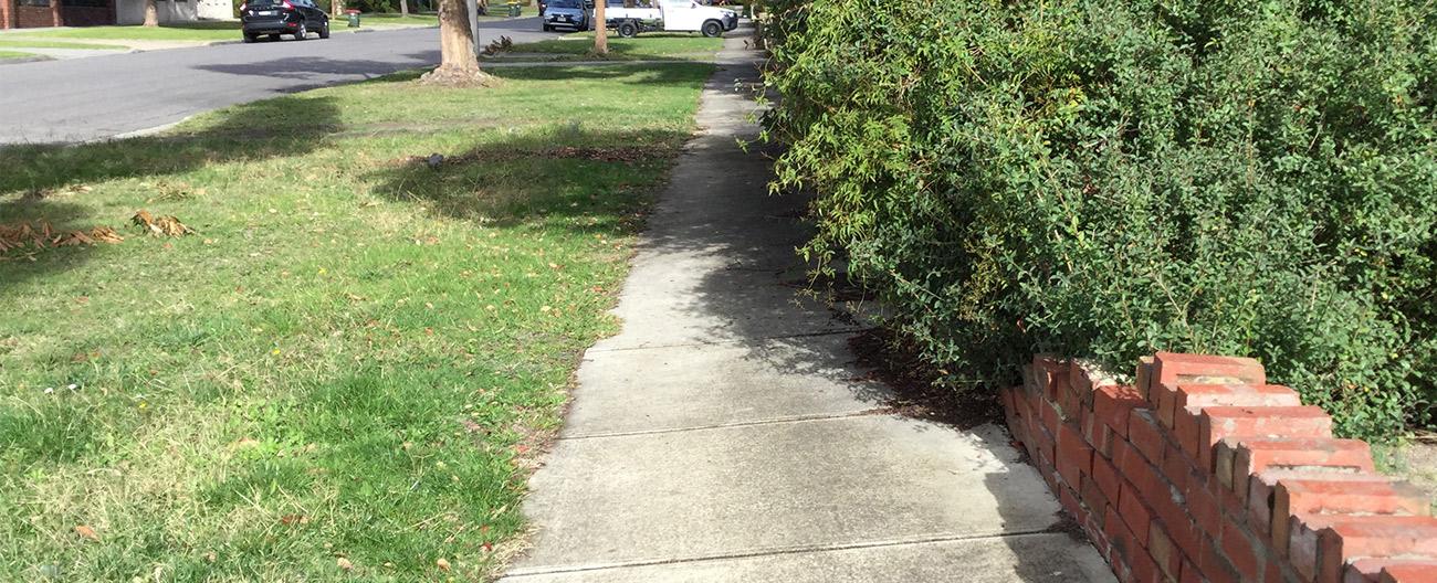 Overhanging branches