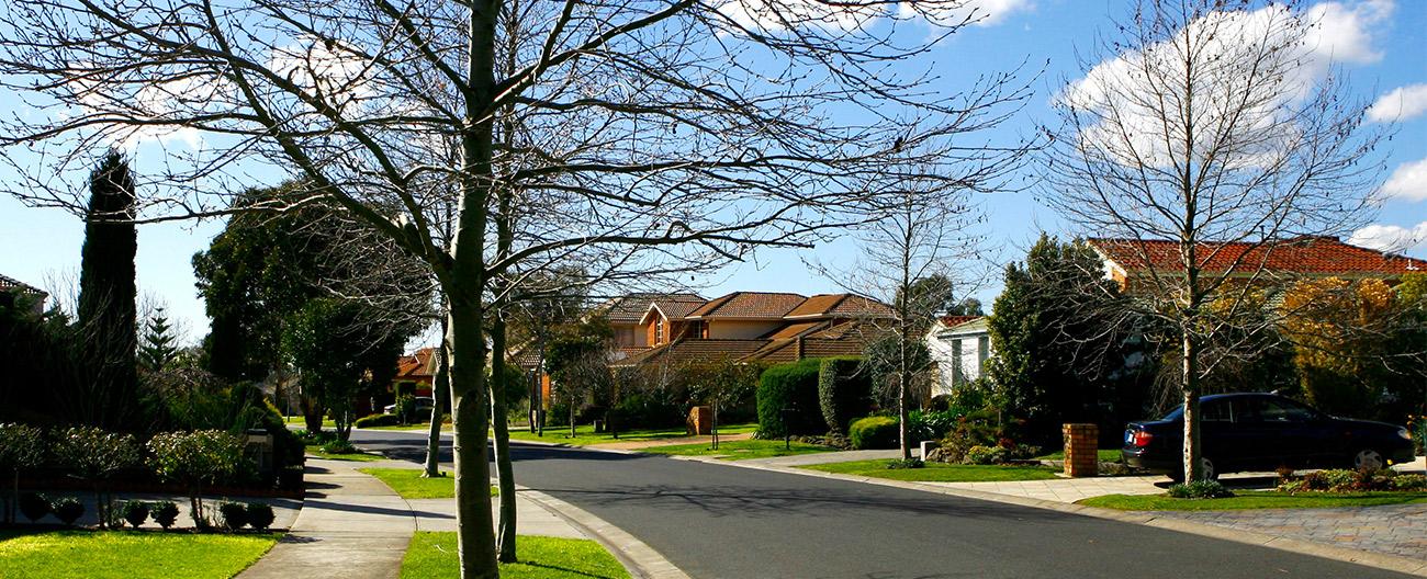 neighbourhood street