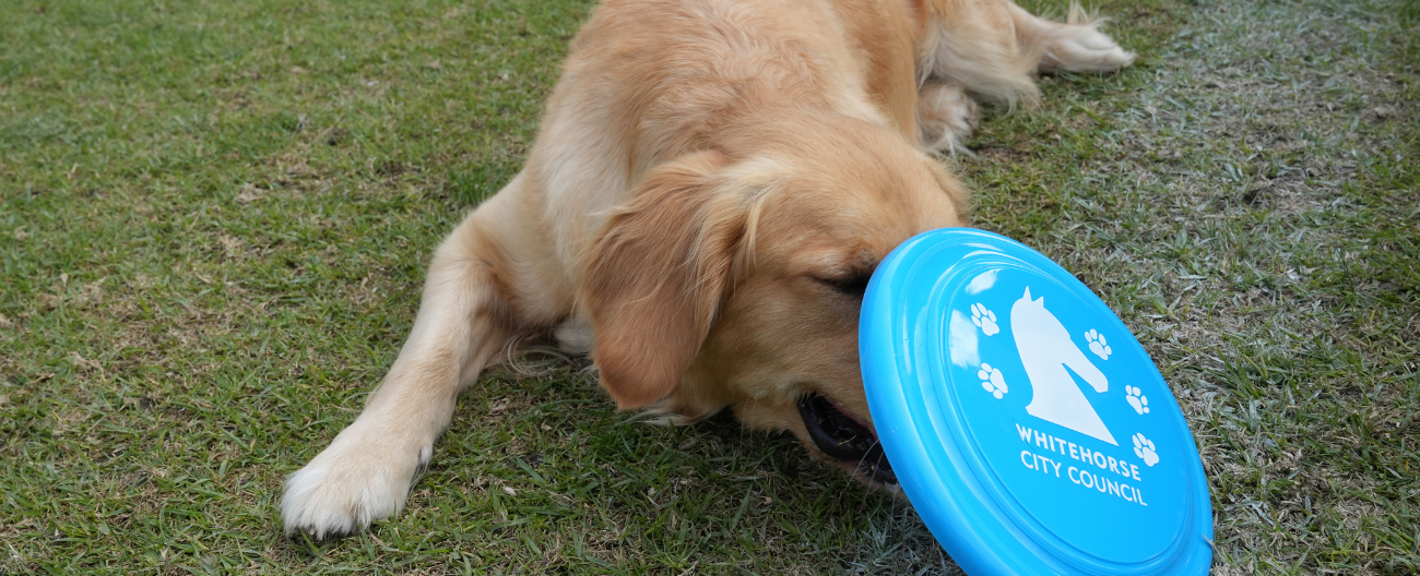 Dogs In Public Spaces - Springfield Park