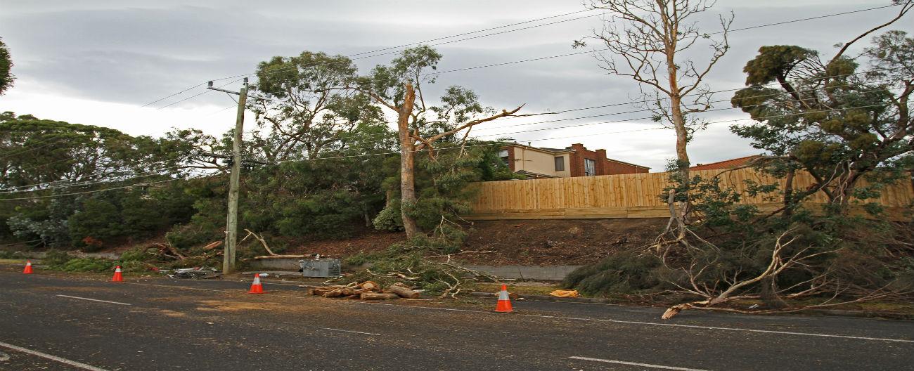 Damaged electrical sub-station Heatherdale Road