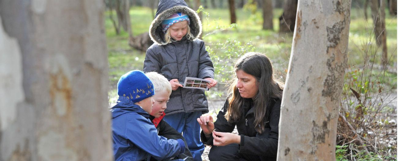 Picture of children exploring nature