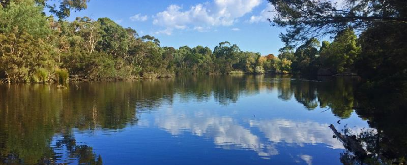 Blackburn Lake