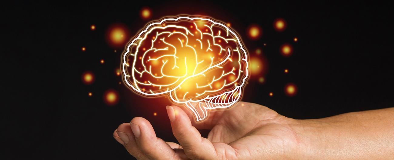 Dementia awareness - picture of a brain