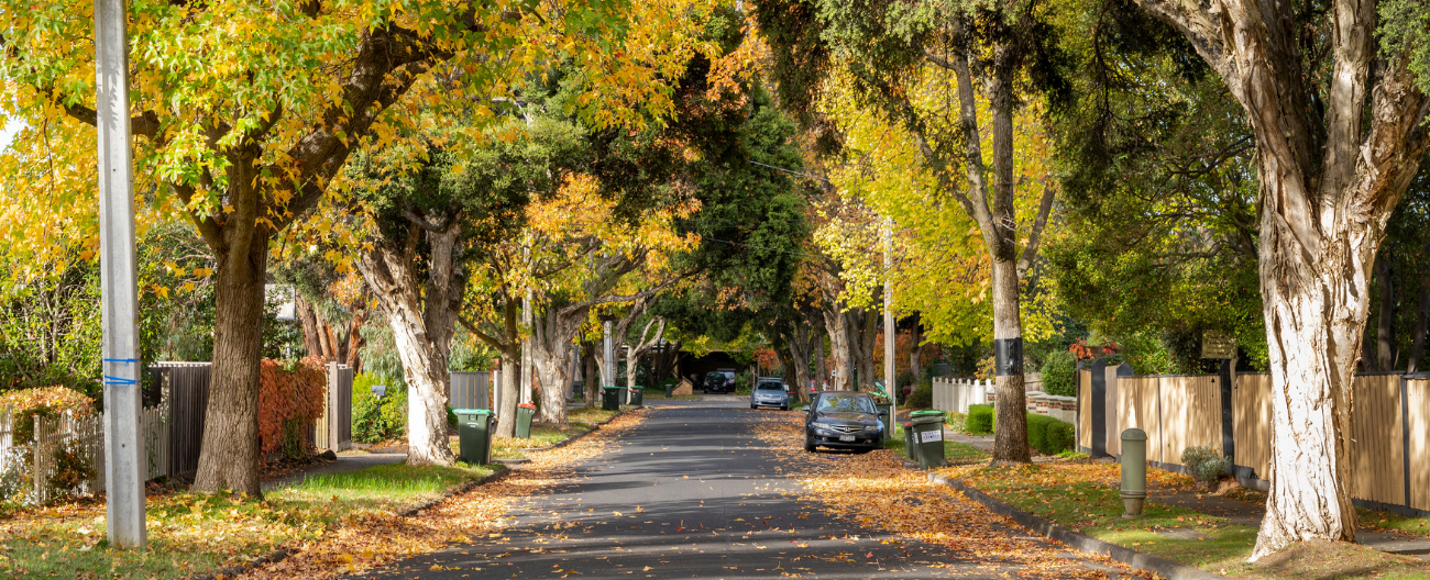 Haselmere Road