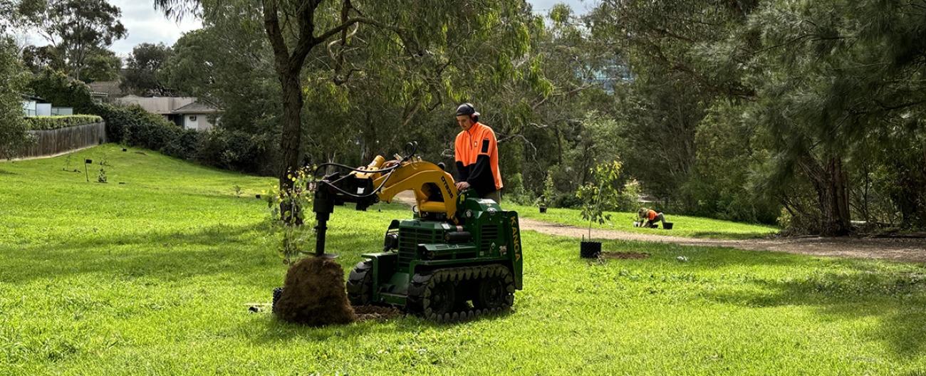 Tree planting at Gardiners Creek Burwood