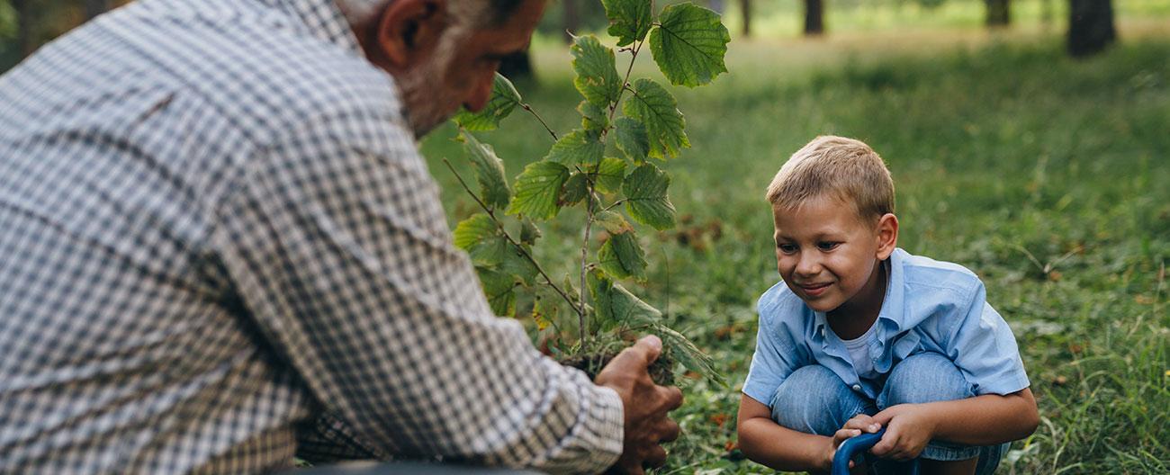 man planting a tree with a young boy