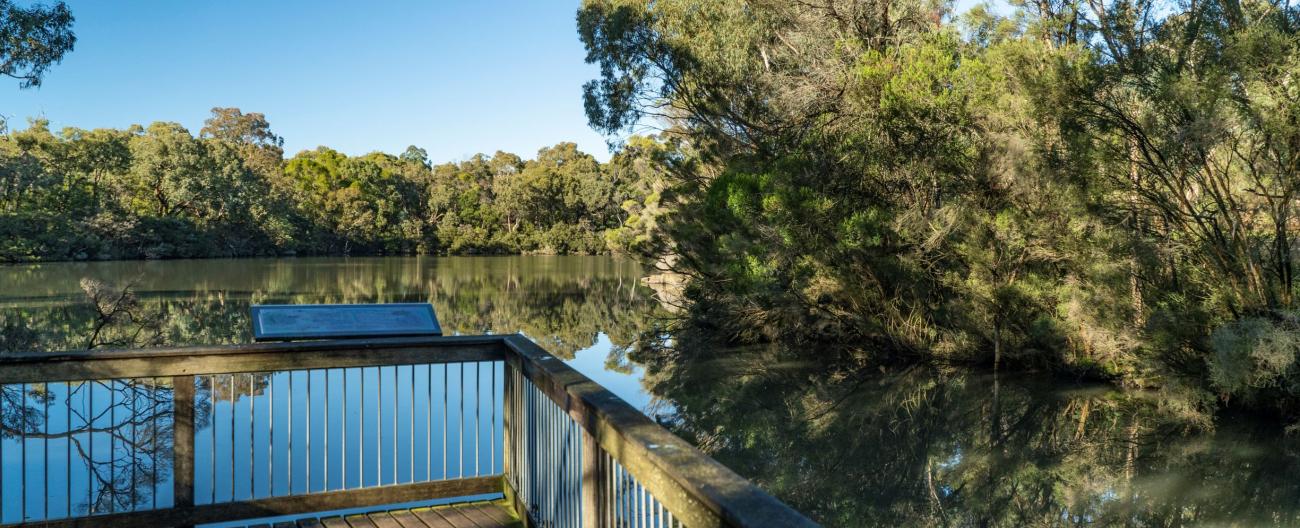 View of Blackburn Lake from platform