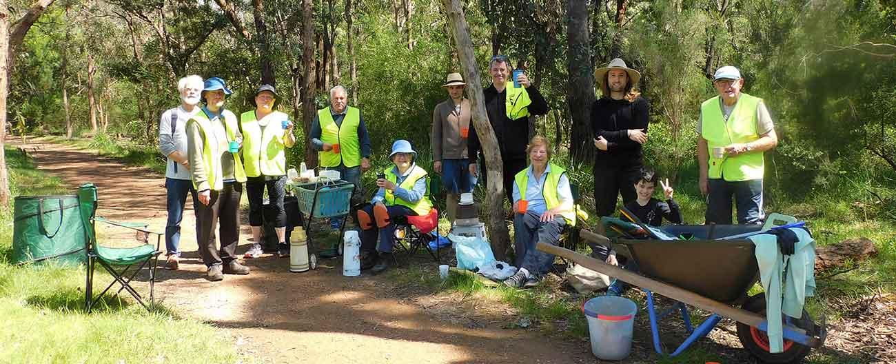 Group of volunteers in park