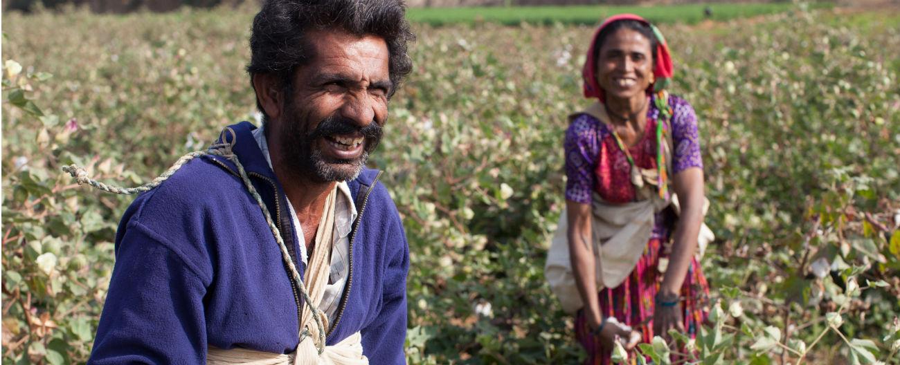 Picture of cotton farmers in India