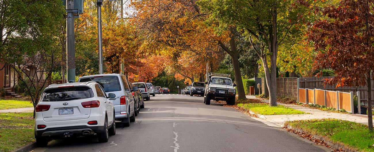 Road reserve photo with bluestone kerb and channel