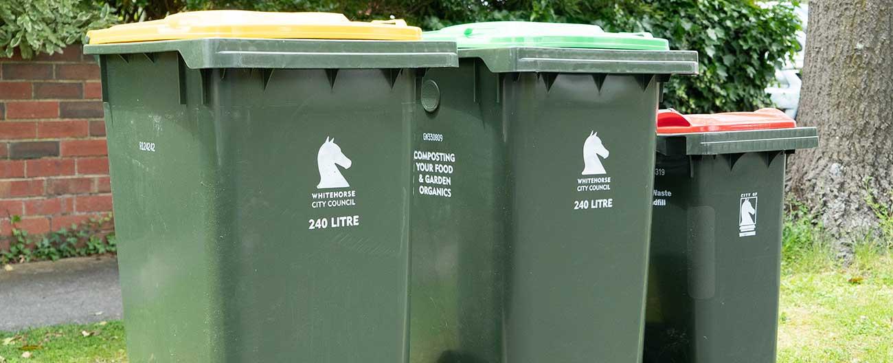 Photo of 3 Council bins